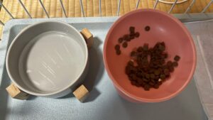 グレーの水飲みと、カリカリと白い薬のかけらが残ったピンクのご飯皿